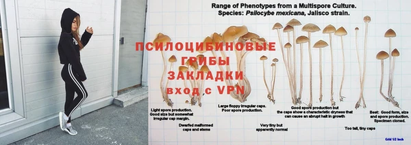 2c-b Алзамай