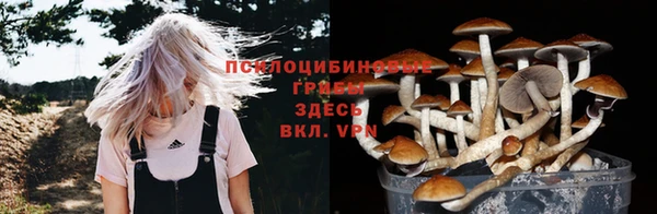 2c-b Алзамай