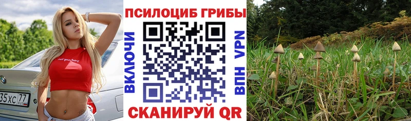 Галлюциногенные грибы ЛСД  Находка 